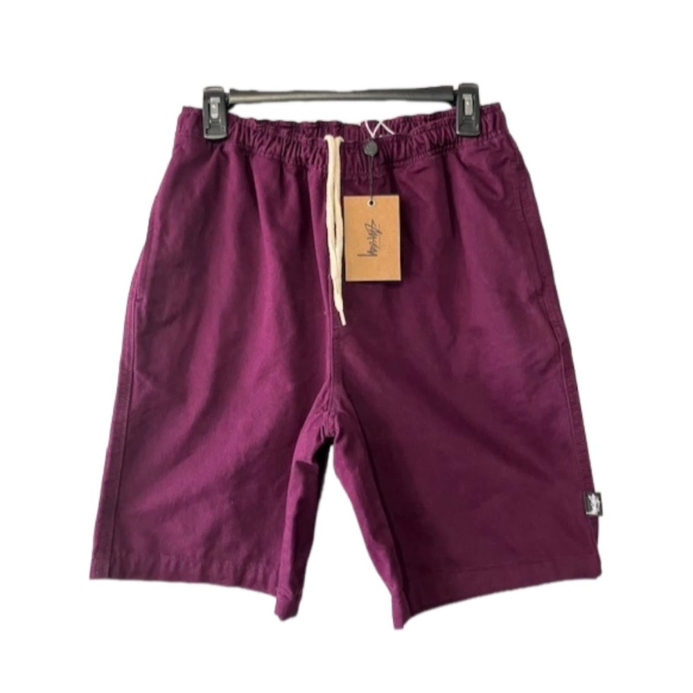 NWT Men's Stussy Purple Shorts Small